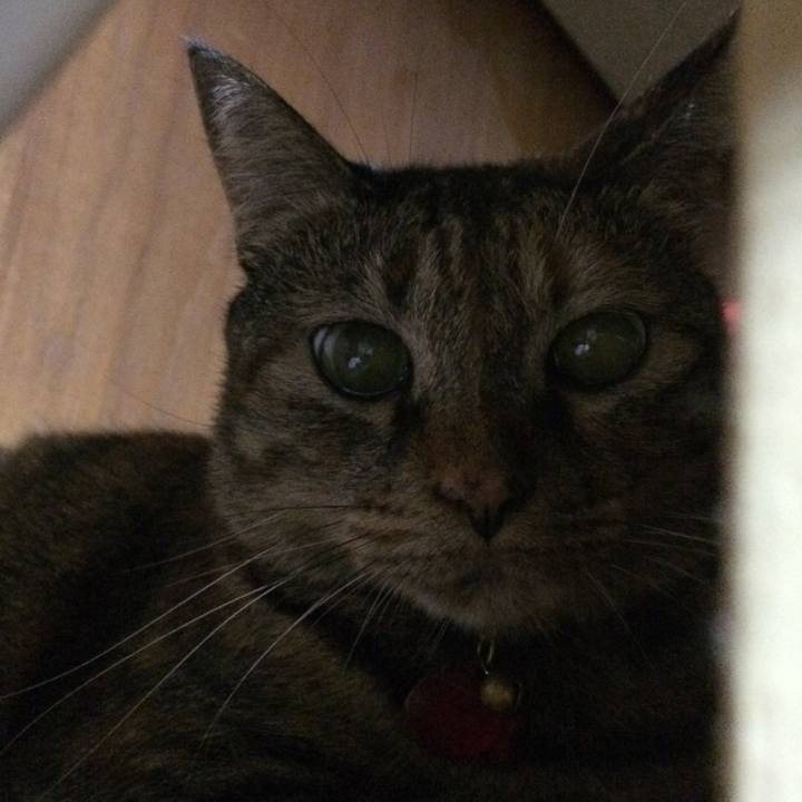 D9c6dadb 0b60 4e6b b8d2 54d145502a04