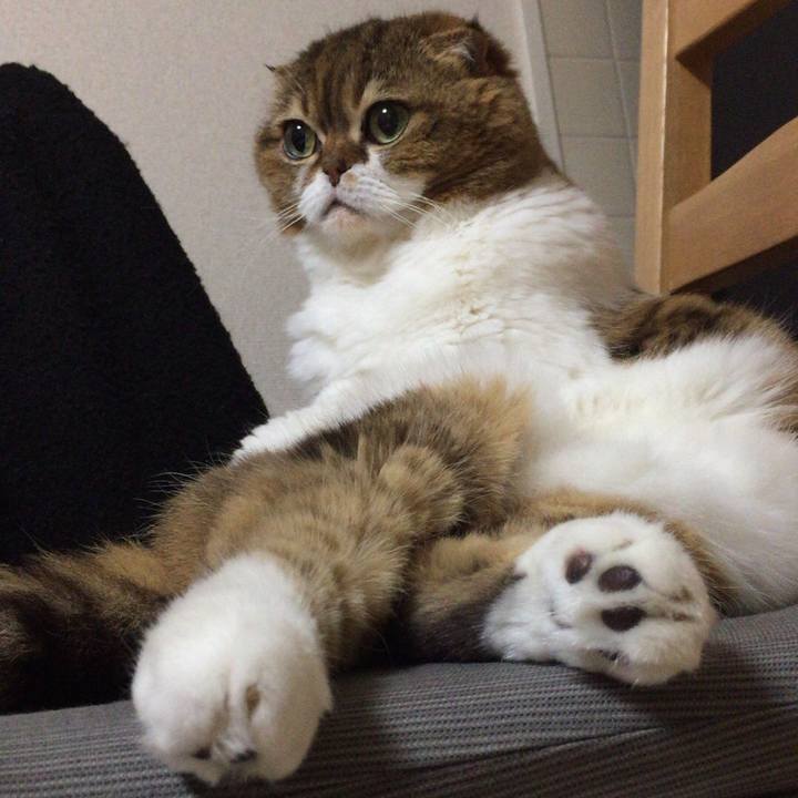 D9c757f7 bb41 429f be4a a5678678a1c4