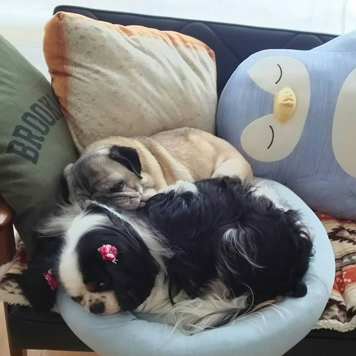 D9c7618b 5eb2 459f bbaf 0cc01b1f913e