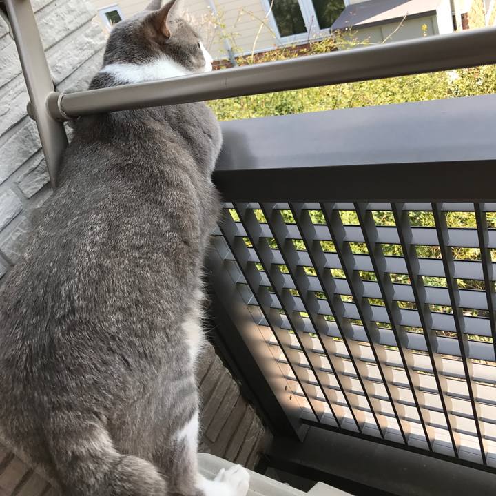 D9c86d5d 415c 48b7 9f6c fa7e2c9c630e