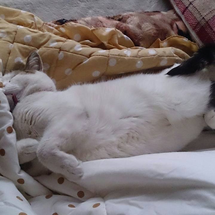 D9c8fc32 5401 4524 8bfa 885a7df00931