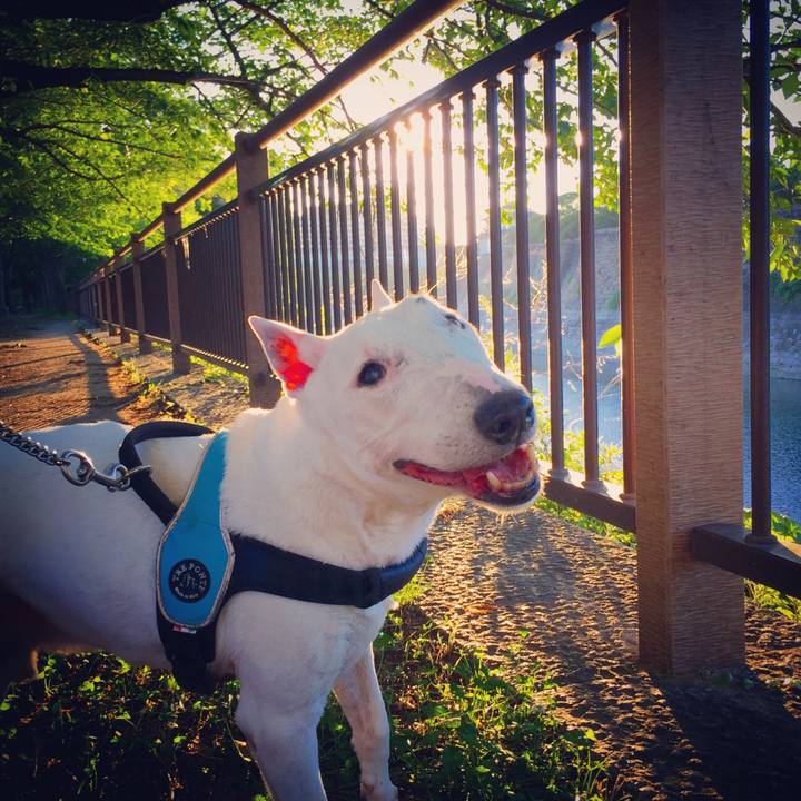 D9c95c0a 8331 4846 82ab e6fcb61cc894