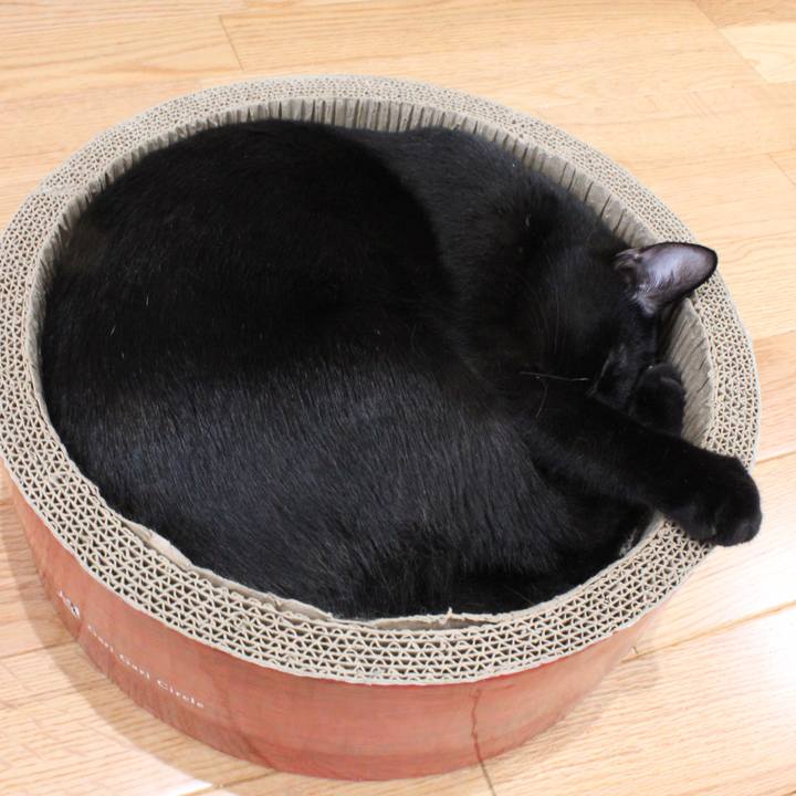 D9c9630c 1677 4955 97a5 a5d95be37b8d