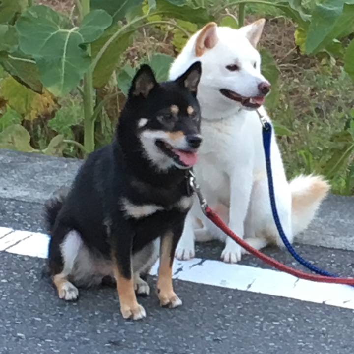 D9c9af96 e0af 45f6 82ab 0330e95d1a8c