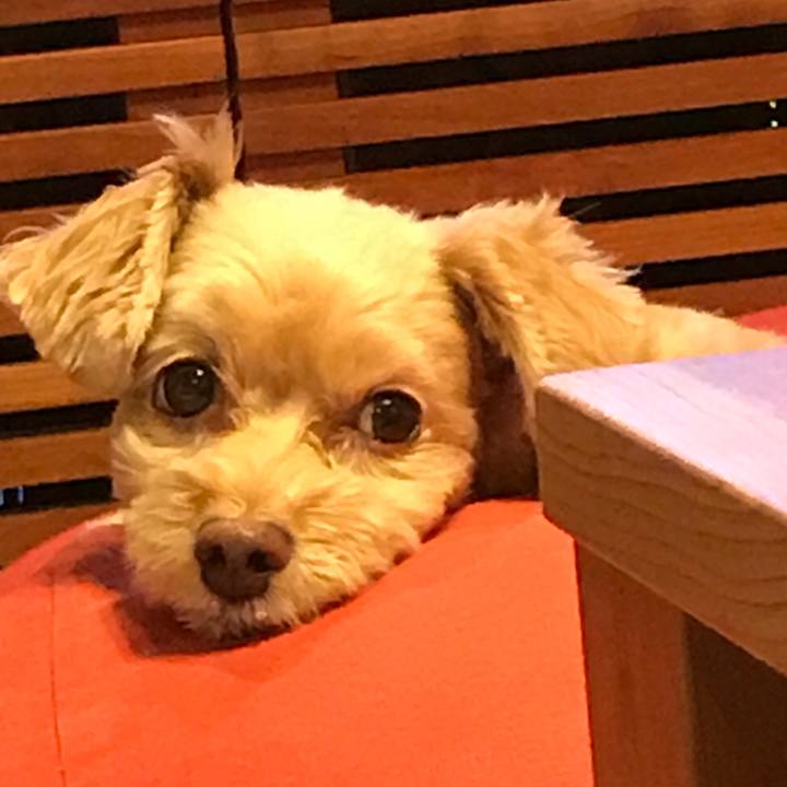 D9c9dee7 0dcd 4481 9563 70eccfb962f7