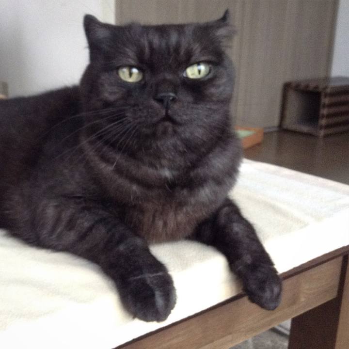 D9ca013e 34fb 4cf7 a186 a94004f6da5e