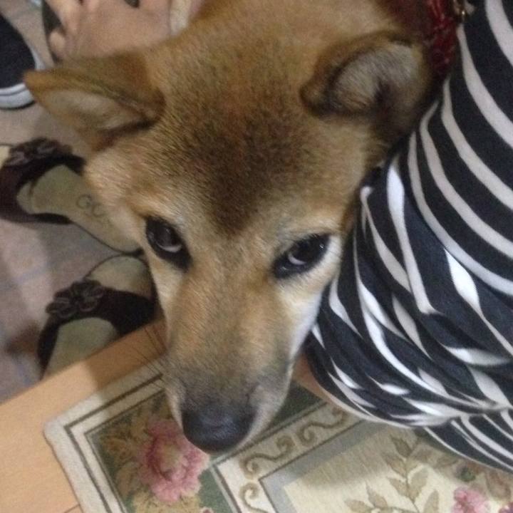 D9ca16ea 8f9f 41fc b353 424f315ea871