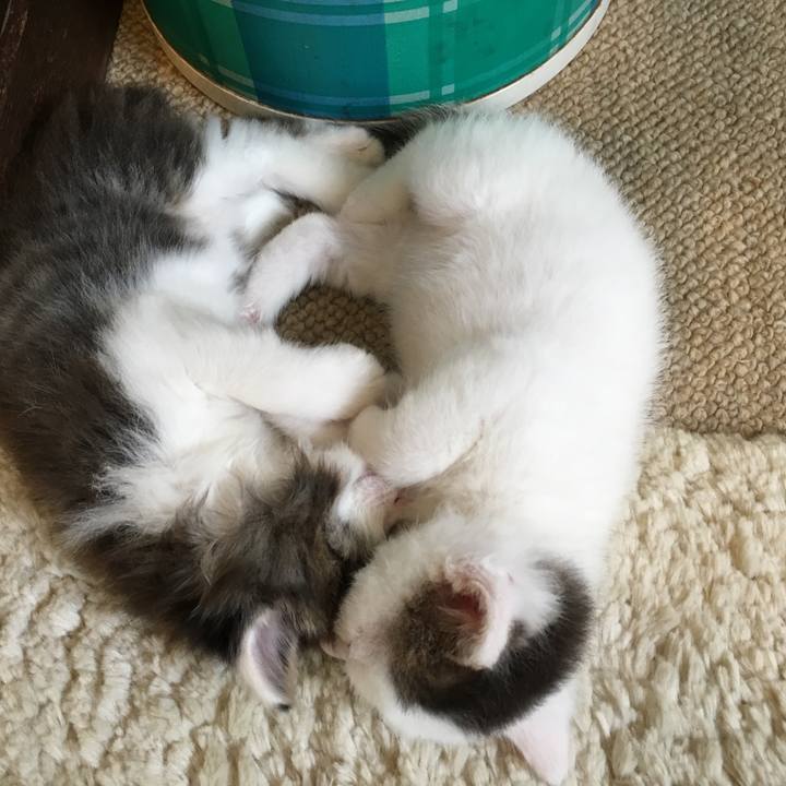 D9ca3a9b 6232 4cd6 8762 ad6512878f63