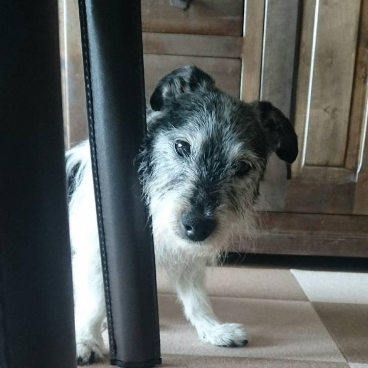 D9ca4924 5672 4b4b b722 05c29ea0d4ff