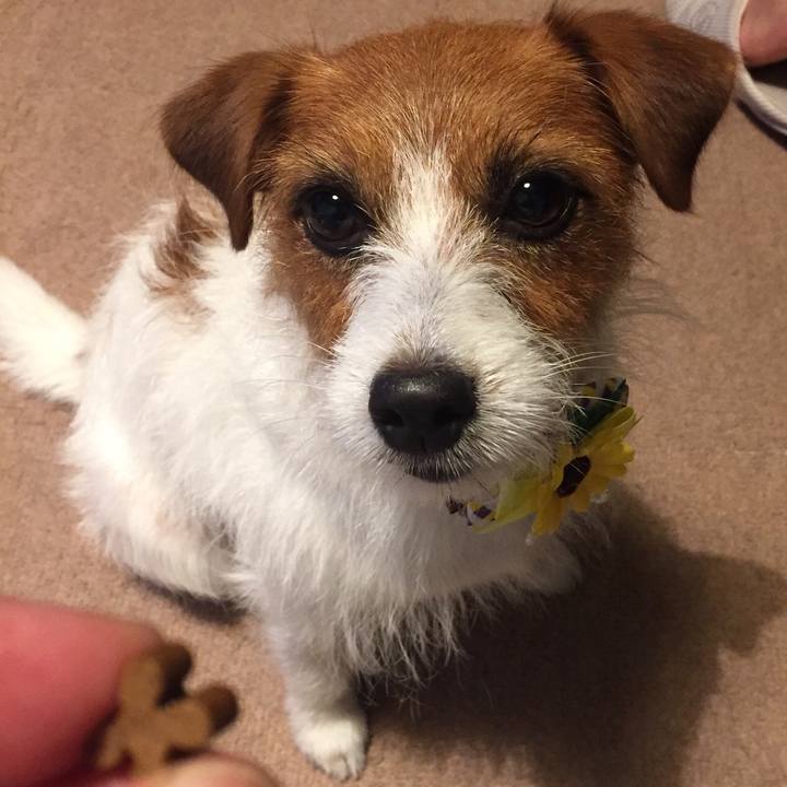 D9ca53d0 126d 4359 a70c e9dc3f592511