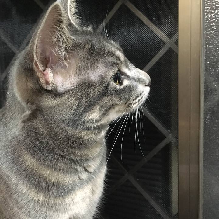 D9ca7e89 a633 4249 b2f6 954d16c22c09