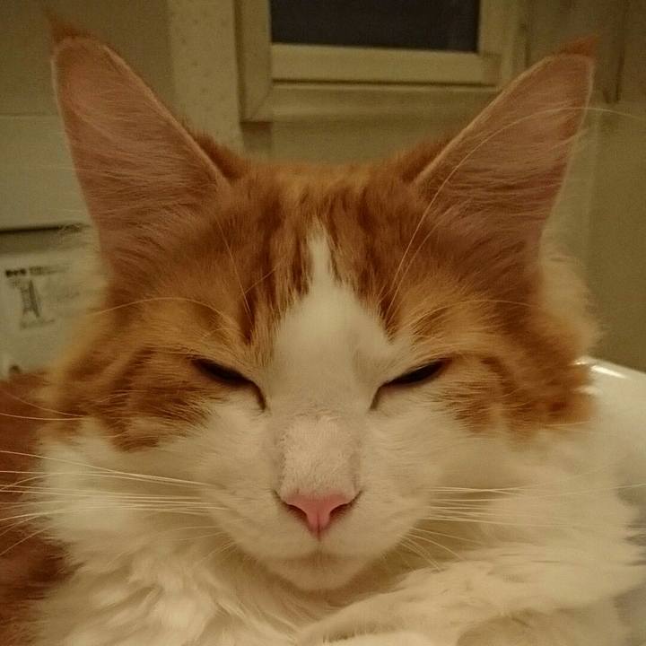 D9ca8899 e61d 4536 9b25 615fc2e3c71e