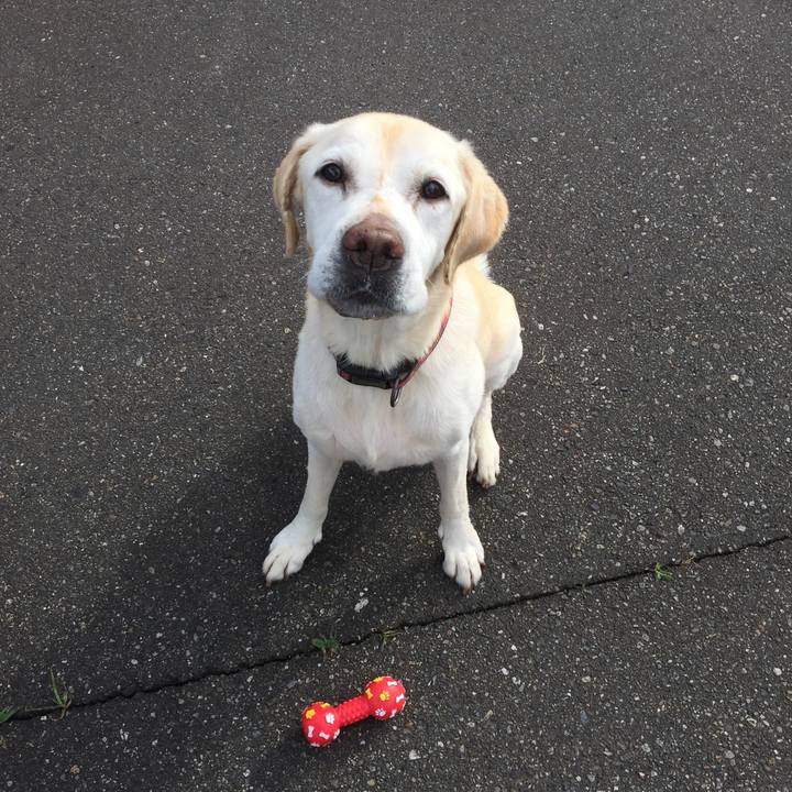 D9ca90cd e34c 4392 a687 9ae994263b28