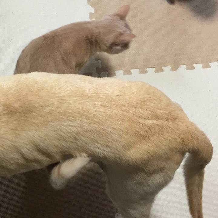 D9ca98a4 2426 46c8 83c8 c7af90668fc7