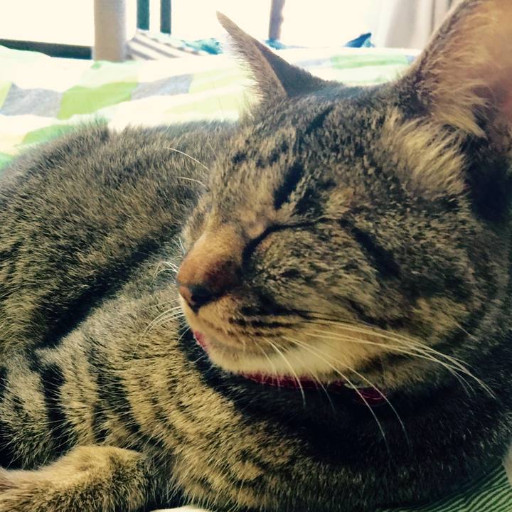 D9cb4957 ff00 4ab4 87bd 88969f336875