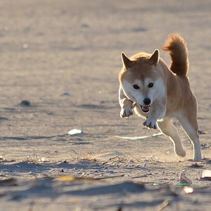 D9cbbe81 2554 4e22 8b09 a990ba810fa4