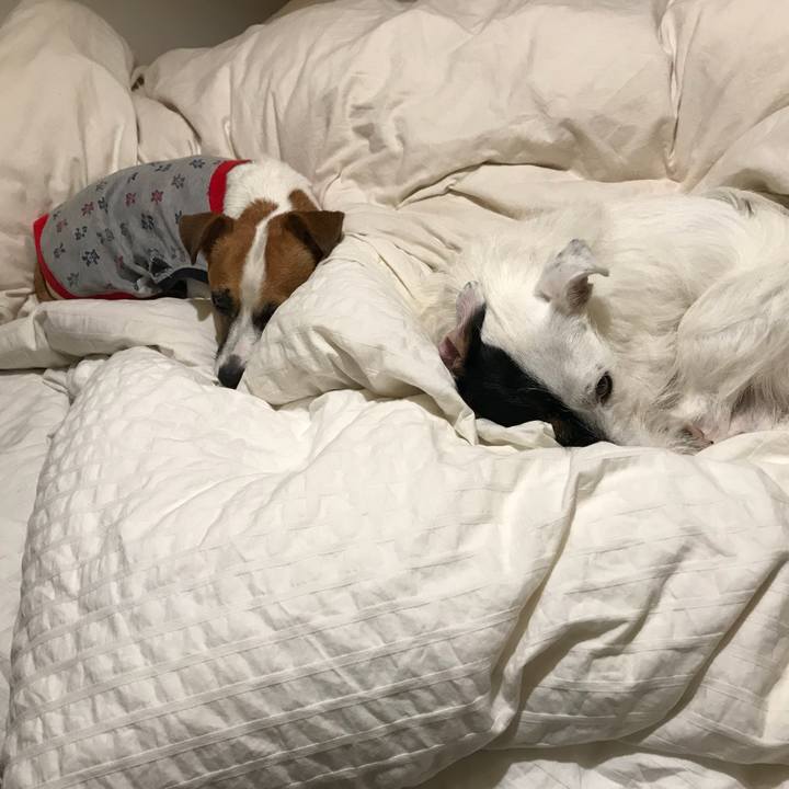 D9cbcf1e 1b78 44f9 840c 7a32ad20693f