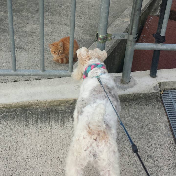 D9cbff90 457d 4d92 a415 f527d535df36