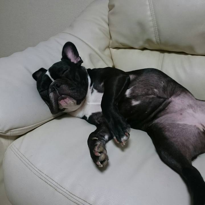 D9cc0da4 18de 47dc a8e7 6546af628c9d