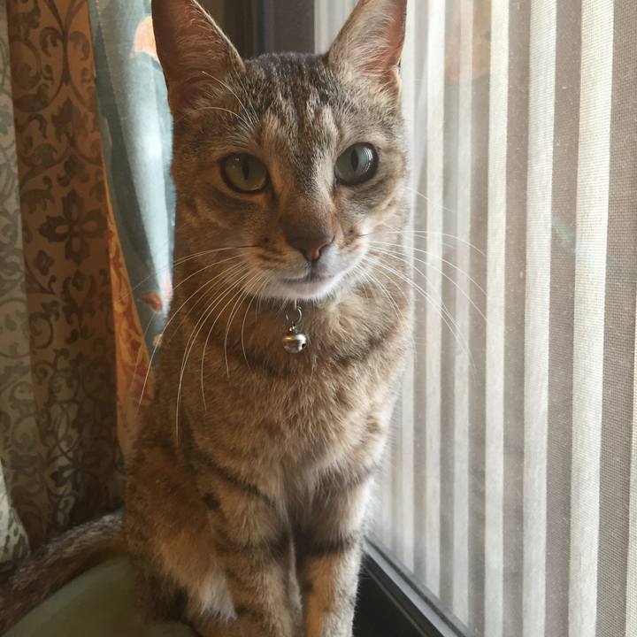 D9cc225d bd56 4de7 8066 a965f10c6a23