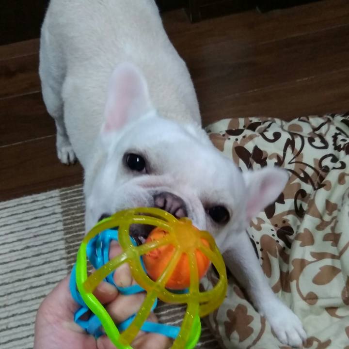 D9cc2bd2 aec3 44f6 a4e2 c85d3be7831a