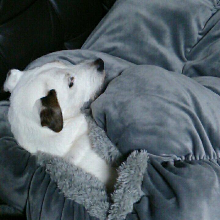 D9cc2fda 95cb 4cb6 9d17 aadbe45685e0