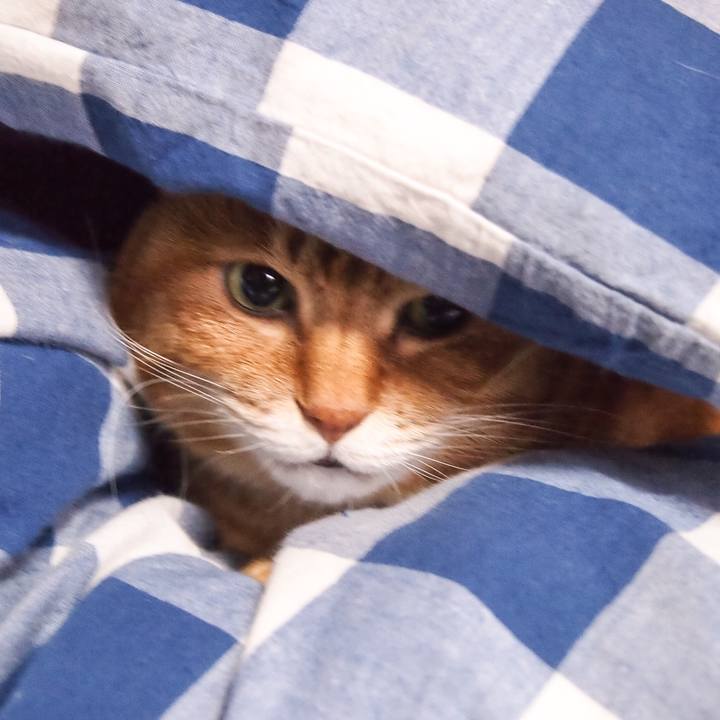 D9ccbaab 3895 4b0f 9405 87751a64fe83