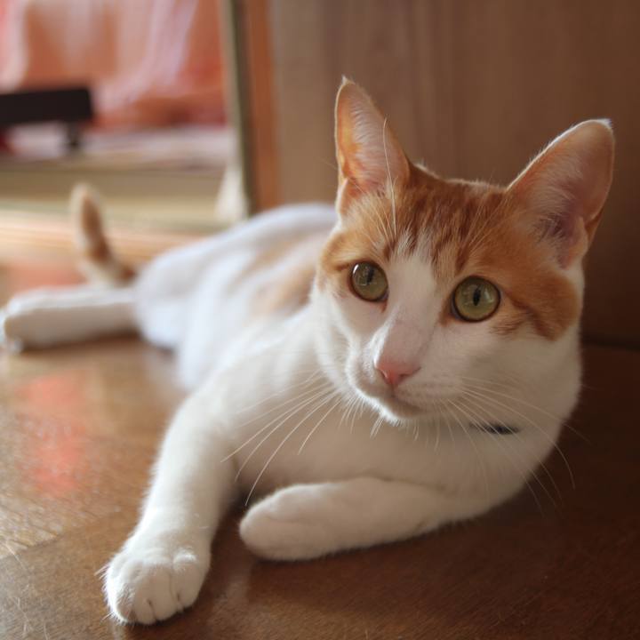 D9cd4933 1633 4a5d 8a2c 54cdc970b304