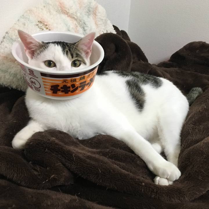 D9cd4ed8 8121 4e65 a3f5 5a405dcbad4d