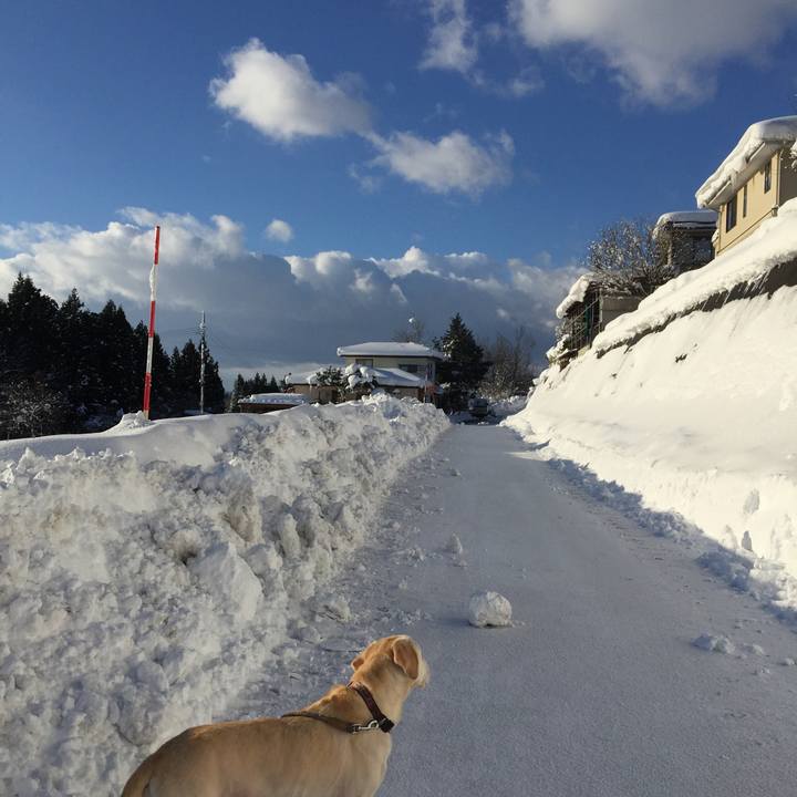 D9cd8c99 ca4a 4180 b8c9 33275cfdf8c3