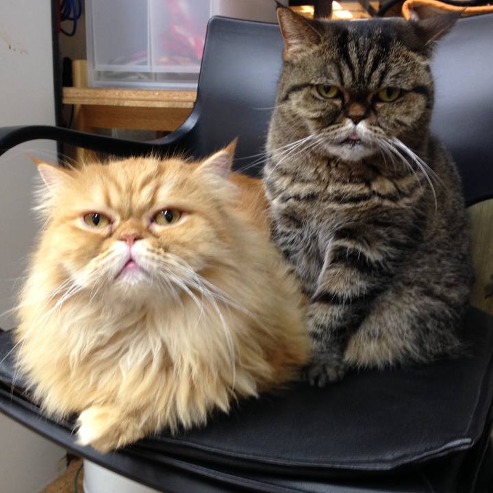 D9cdbfb8 3d02 4186 8f37 3278f382f116