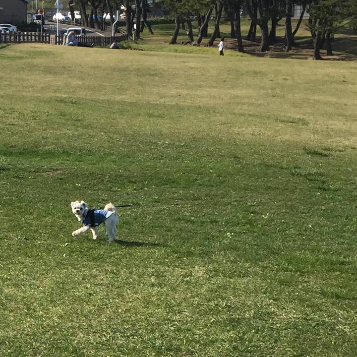 D9cde2f9 39f6 4db4 a942 f6dc890f8043