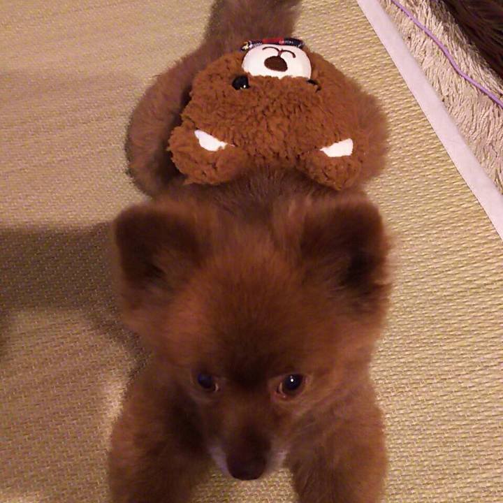 D9ce1006 20c9 4e6a bf8a 1def00c2bdde