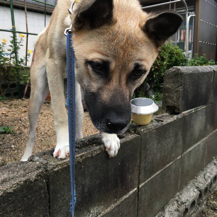 D9cecde9 514b 4371 ab5f ed0a7da2c683