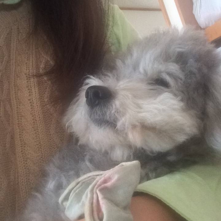 D9cf3bf3 f873 45da bf61 b11d94d98c8c