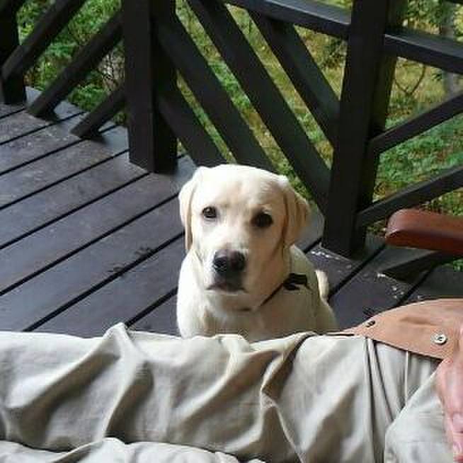 D9cffb2f 4d98 4578 b41d 70c21d069efc