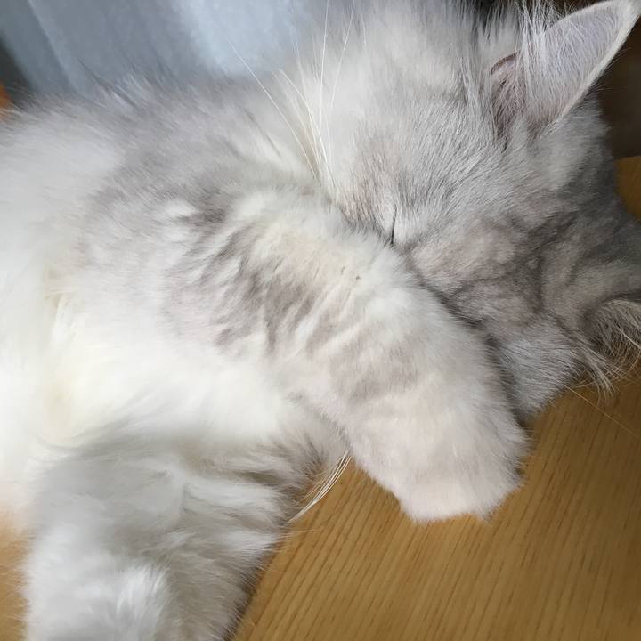 D9d0b9b2 db65 42dd a5e6 7e9f3ce88b99