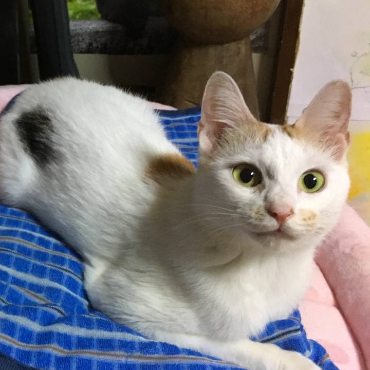 D9d0d8e1 1d6e 4553 91d8 0e4a9ecd113f