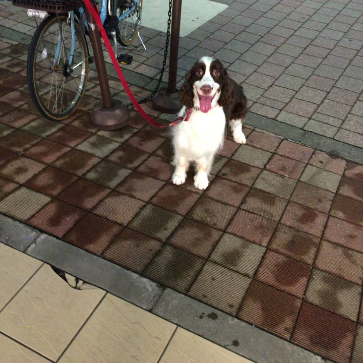 D9d195af bbef 4ced 8ee6 845a867f8c7d