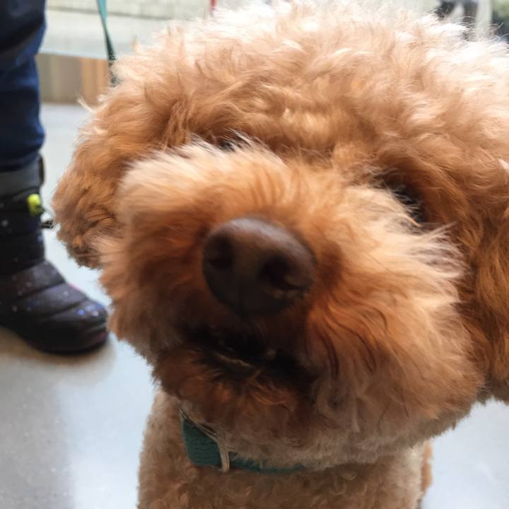 D9d1964e 6673 46b9 85bb 29879da346ef