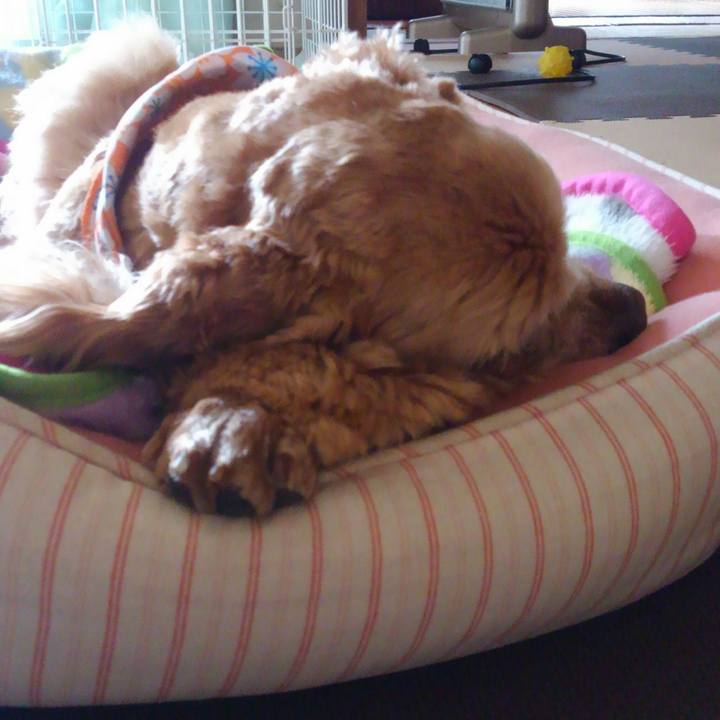 D9d1b72f 8e61 4cdd 8b10 c1db8c67819f