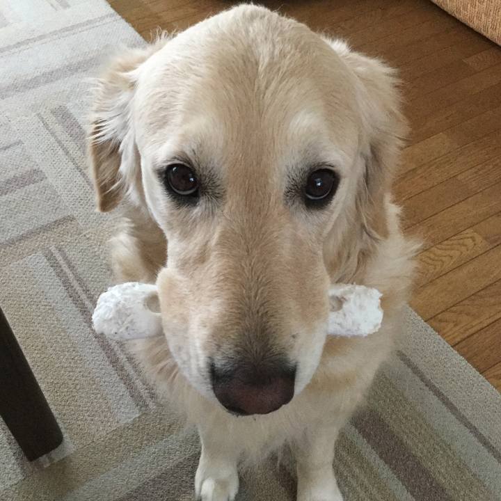 D9d2752a cda8 44e9 9af4 2d6de44d6229