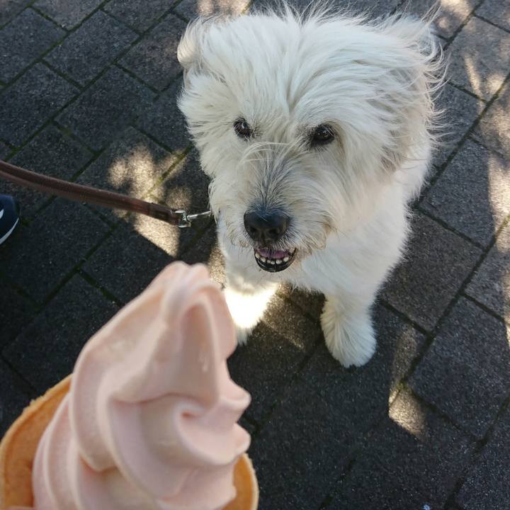 D9d2dddb b7cc 4ad1 a168 d55937224720