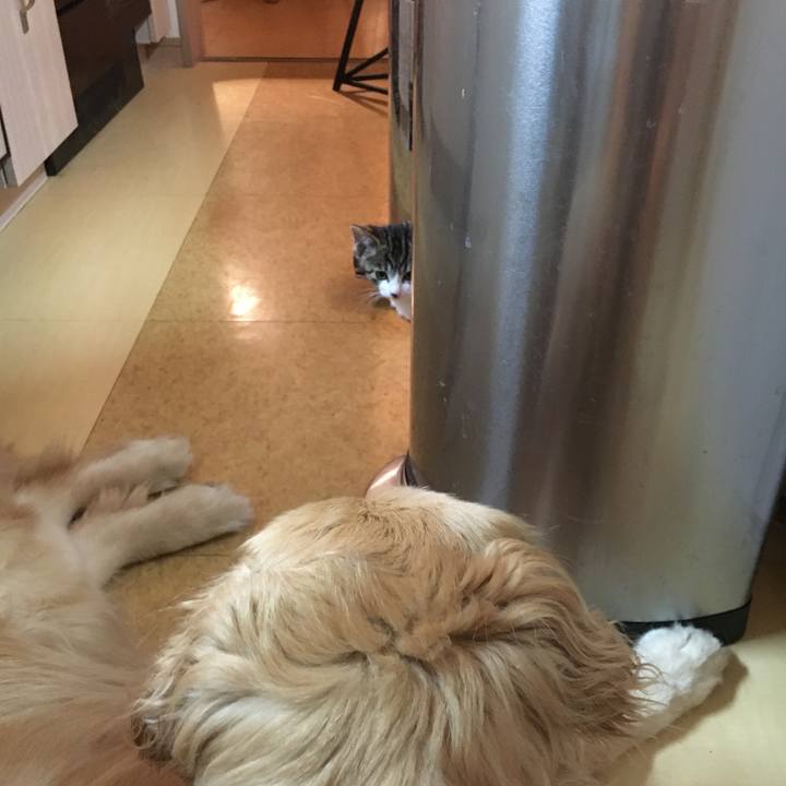 D9d3dafb 73ca 4c77 be19 d58a1dba1c67