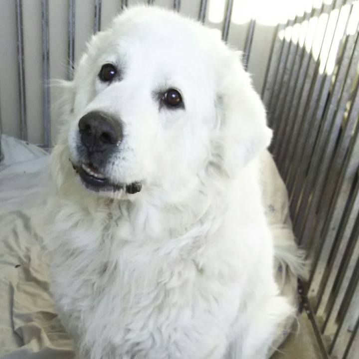 D9d4c66c bdaa 411a aa6d 01ef59c75187