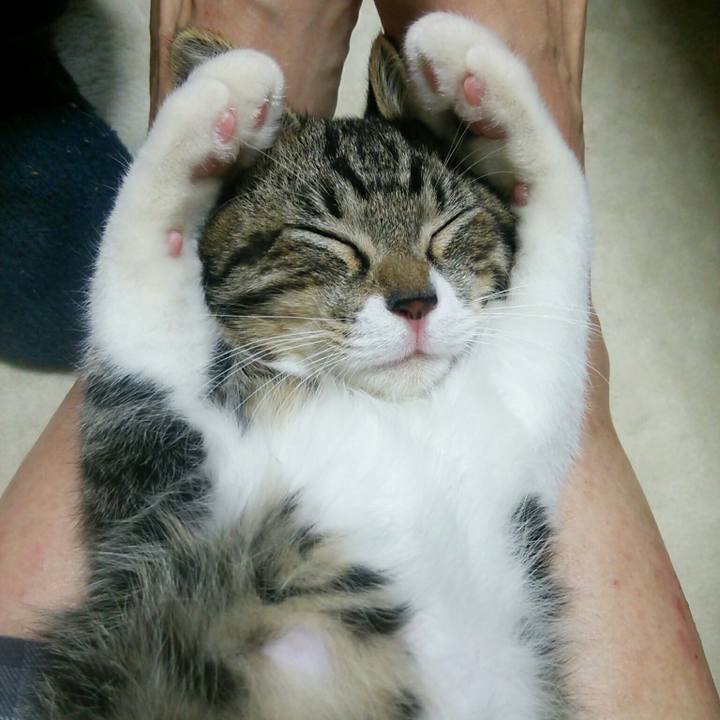 D9d4d6b9 7994 4495 8837 5035f7edd61b