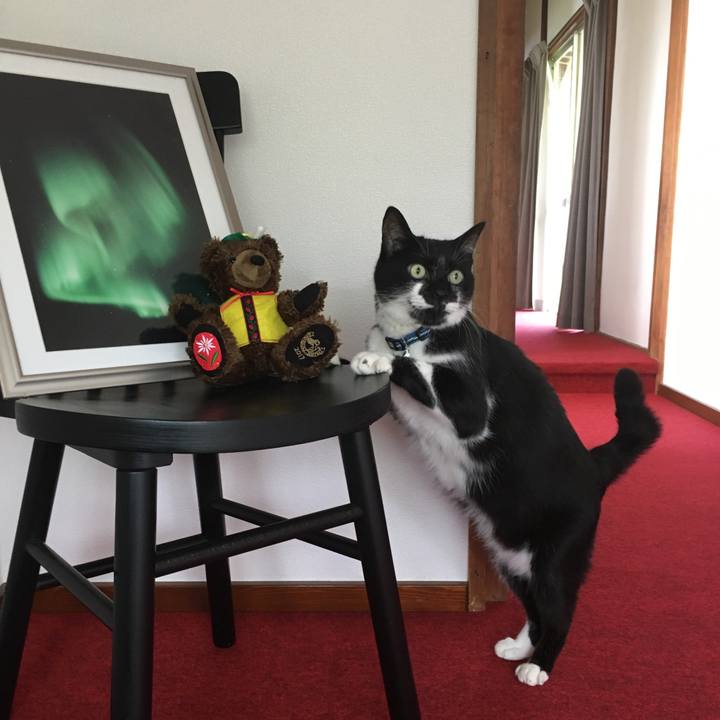 D9d553e1 9dc4 4a4d a9bd cccc97af42e5