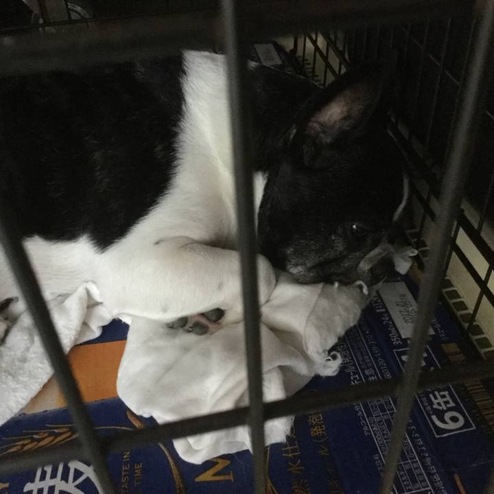 D9d651d8 52cd 4da8 b720 17331f8edbdf