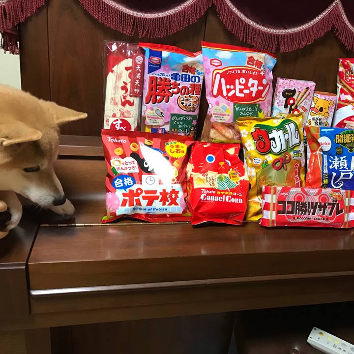 D9d700f6 2f37 4ab2 a69f f2e68672ee2a