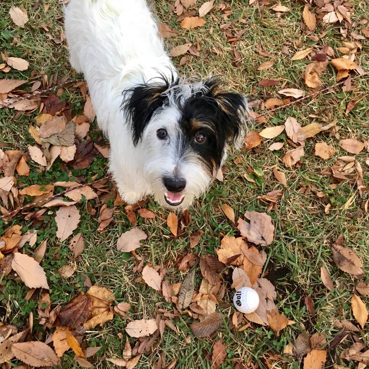 D9d75205 4115 47c5 9b6b 88f8456e82c2